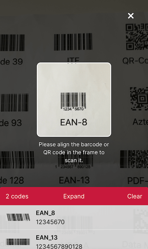 Batch scanning with the Web Barcode Scanner