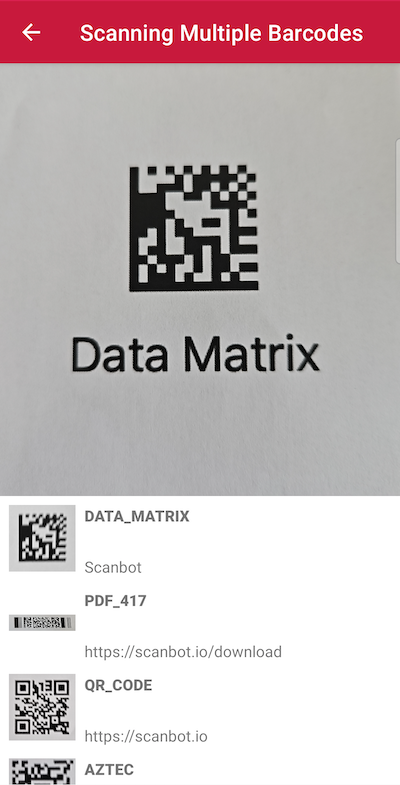 Scanning a multiple barcodes with the Android Barcode Scanner