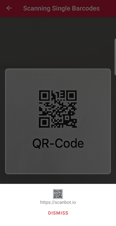Scanning a single barcode with the Android Barcode Scanner